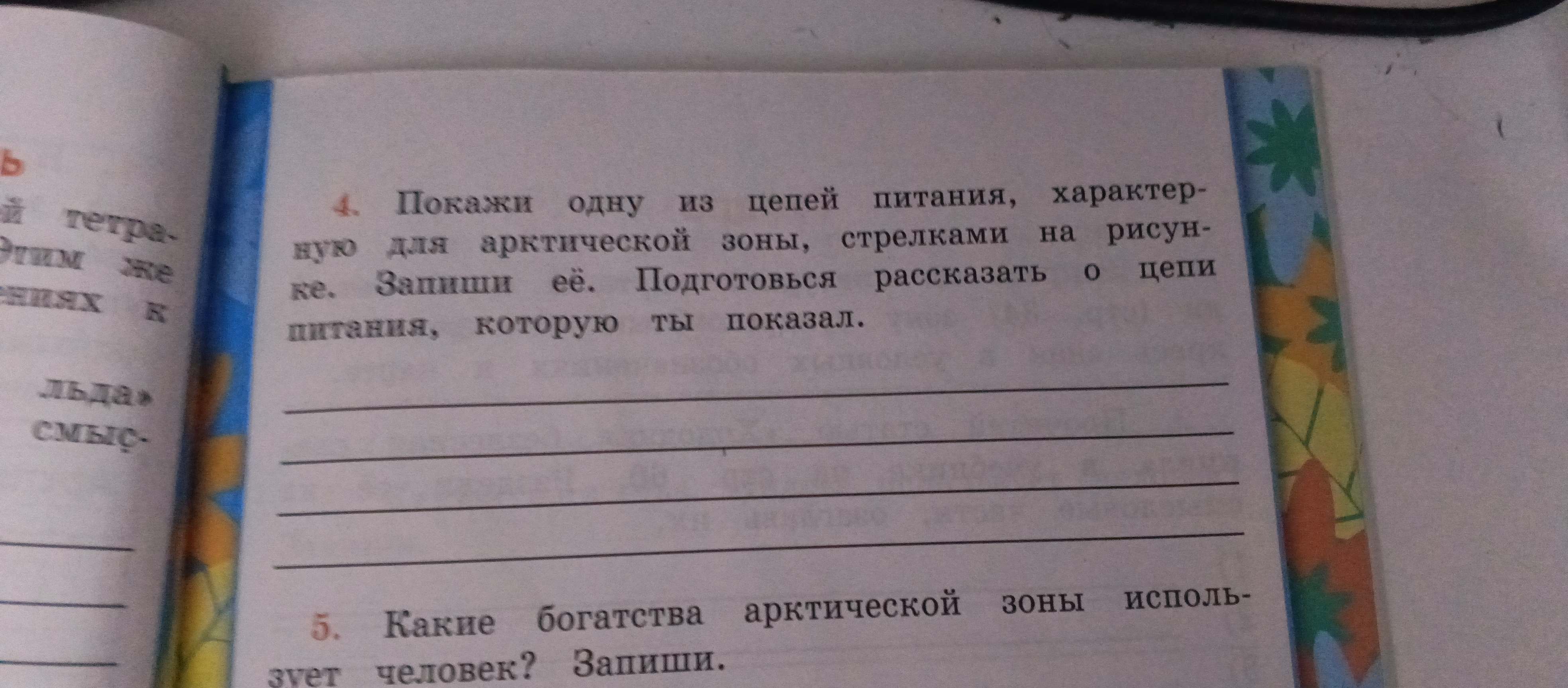 Фото заданий: 4. Покажи одну из цепей питания, характерную; 5. Какие богатства арктической зоны использует человек?