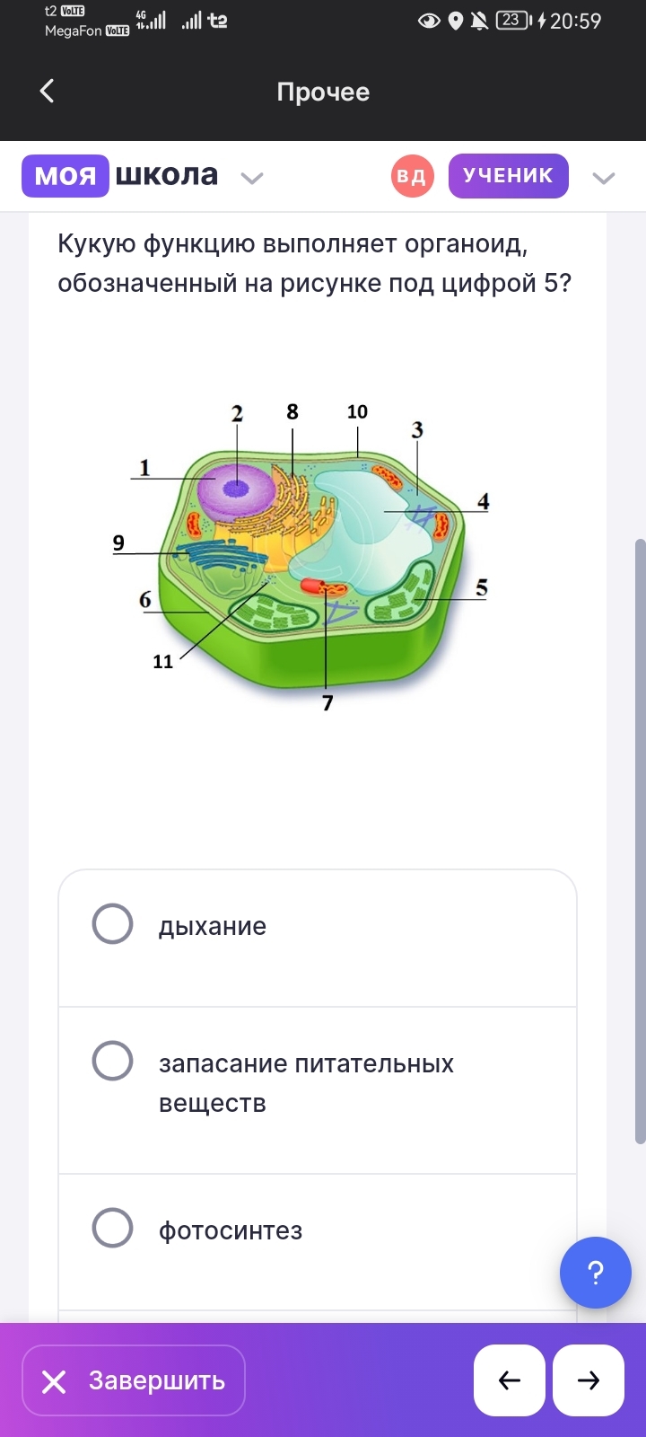 Фото заданий: Какую функцию выполняет органоид, обозначенный на рисунке