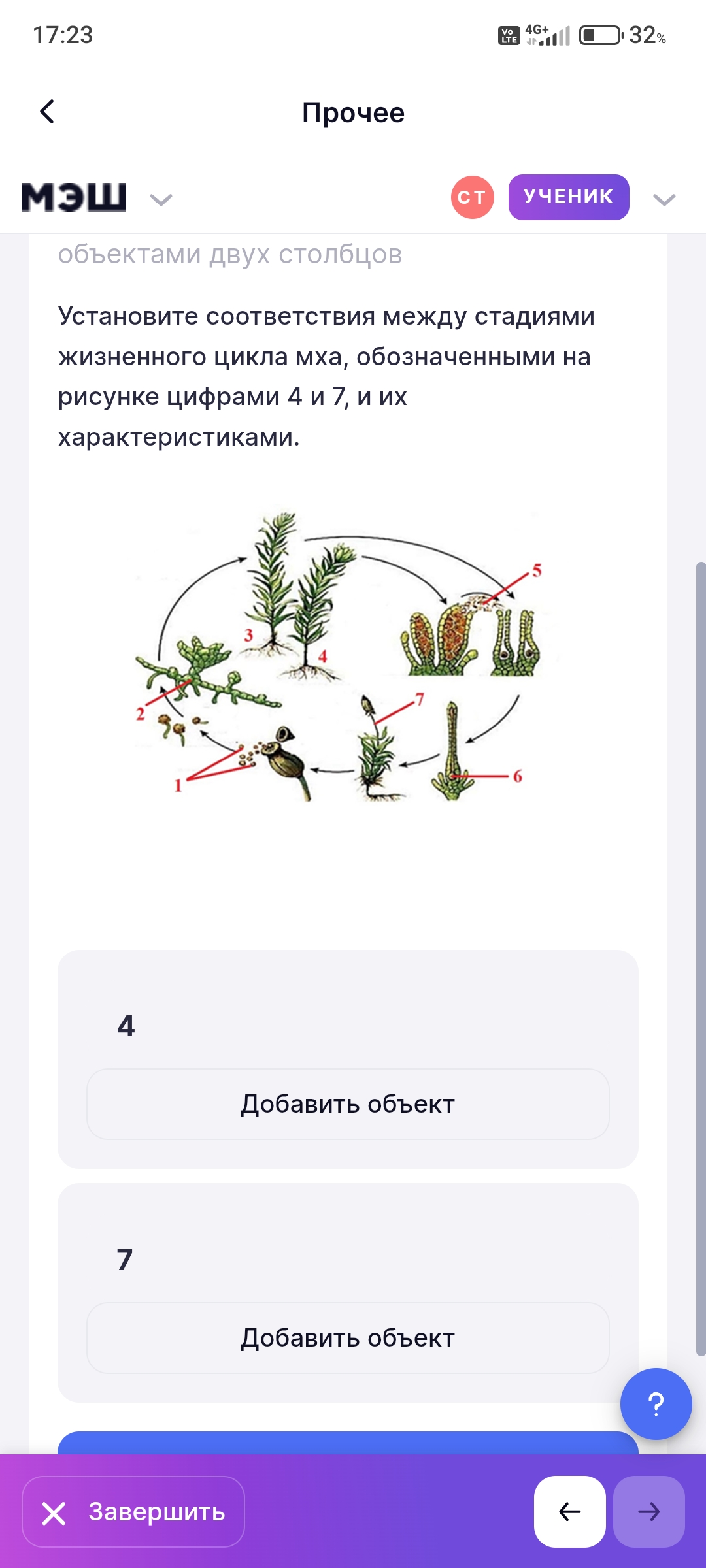 Фото заданий: Установите соответствия между стадиями жизненного цикла мха
